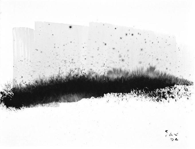 5-2002 osmotisch 51x66 chf 2000.jpg